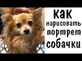 Как нарисовать собаку, портрет маслом ► как рисовать животных