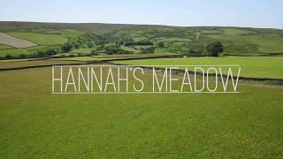 Hannah's meadow in 4K