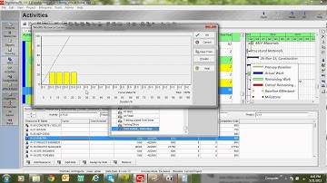 Primavera Tutorial - Resource S curve