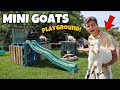 Building my pet mini goats recycled playground