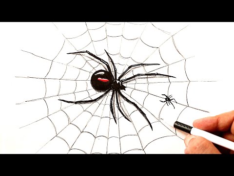 Как нарисовать Паука на паутине
