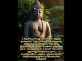 உண்மையான மகிழ்ச்சி | Happiness | Buddha quotes | Tamil Motivational shorts whatsapp status| inspire