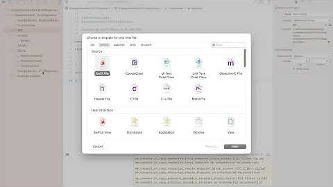 Your First iOS App in SwiftUI – Step by Step with Google Books API