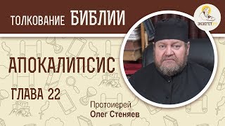 видео: Апокалипсис. Откровение Иоанна Богослова. Глава 22. Протоиерей Олег Стеняев картинка: Апокалипсис. Откровение Иоанна Богослова. Глава 22. Протоиерей Олег Стеняев