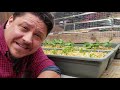 Growing Food Indoors - The Ultimate Guide Mp3 Song