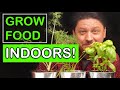 Growing Food Indoors - The Ultimate Guide