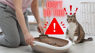 The 9 Litter Box Mistakes You're Making That Are Rightfully Pissing Off Your Cat
