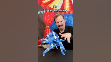 Puppet of the Day – Blue Tarantula made by Folkmanis Puppets - The Puppet Hideaway with Eric Thomsen
