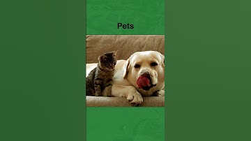 Asthma Triggers - Learn the top asthma triggers and how to avoid them