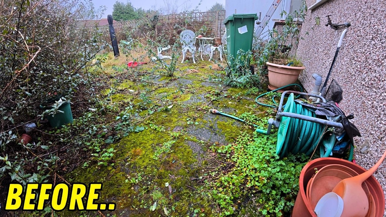 UNEARTHING Carol's Patio.. It's A Huge Transformation