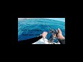 ΦΑΓΓΡΙ 3,5kg με καιρό HEARTY RISE SLOW JIGGING IV POWER 1 #mancing #slowjigging #slowpitch #jigging