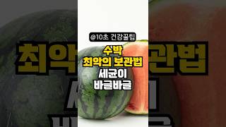 여름 수박 최악의 보관법 세균이 무려 3,000배 #건강대백과 #수박 #여름 #여름철 #여름과일 #과일 #보관방법 #냉장고 #건강상식 #건강관리 #건강식단 #건강정보 #건강꿀팁