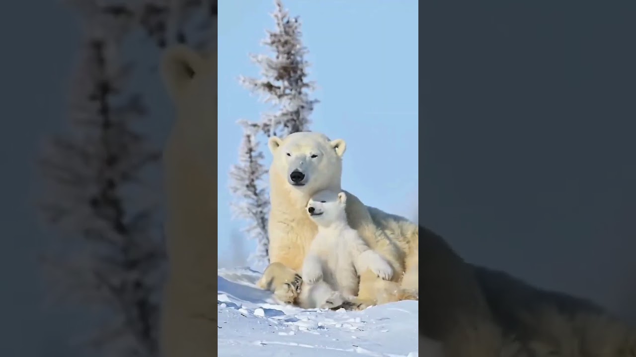 Mother is heaven to their kids..... 