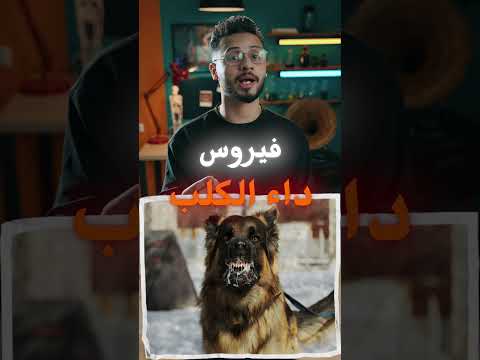 فيروس داء الكلب