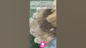 قالوا ابنوا له بنيانا فألقوه في الجحيم | سورة الصافات #دعاء_ورسالة