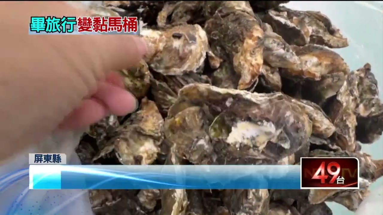 8學生畢旅大啖生蠔鬧腹瀉　海鮮餐廳遭衛生局稽查