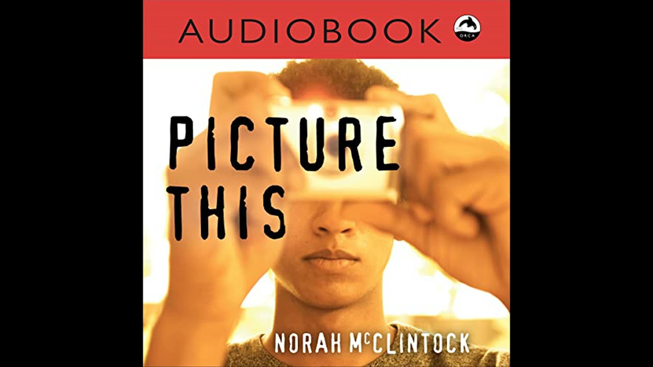 Picture This by Norah McClintock | Full Audiobook