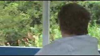 Wakulla Springs 3