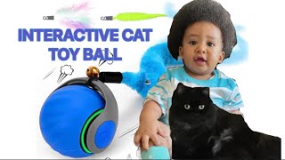 INTERACTIVE CAT TOY BALL REVIEW #nestyle #everyone #cattoys
