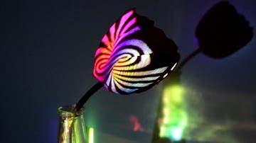 Stay home with Dynamapper! (part 1)