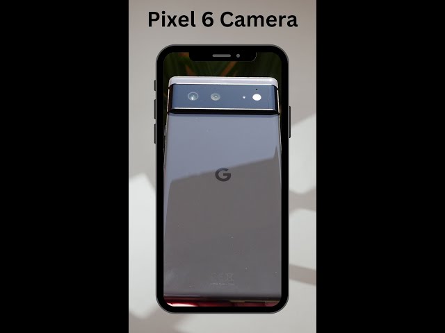 Google Pixel 6 Night mode