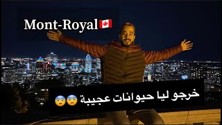 Vlog 20- ميمكنش تجي لمنتريال كندا ?? ومتشوفش جبل Mont-Royal