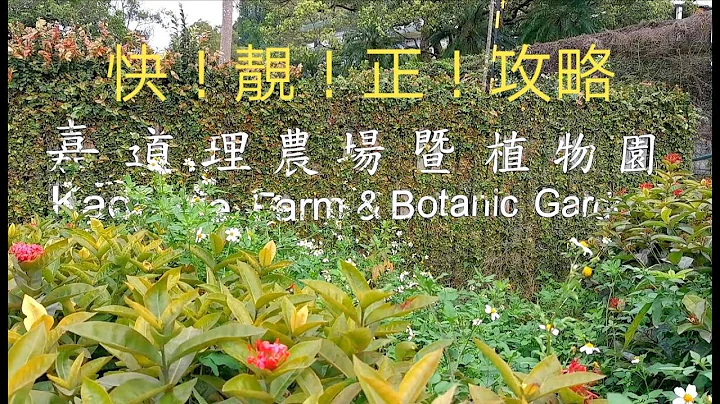 嘉道理农场暨植物园------全港唯一的野生动物拯救及收留中心, 亦都是香港政府委托照顾被充公的非法入境动物, 肩负协助研究调查提供珍贵的遗传材料作分析研究, 积极在香港及华南地区推广生物植物保育工作 - 天天要闻