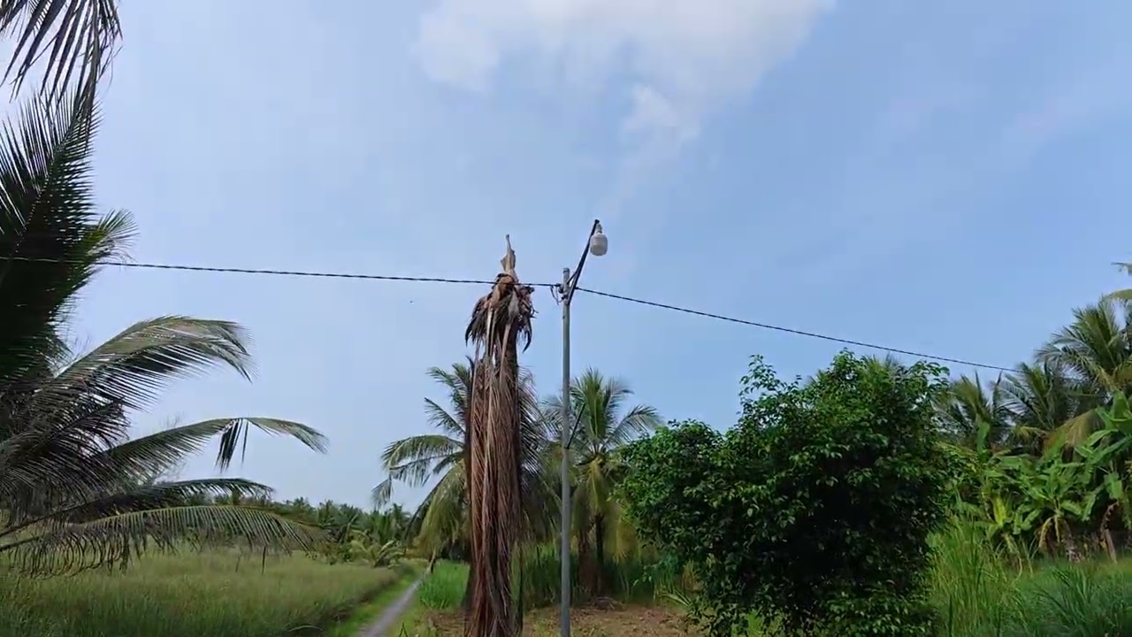 Bán Đất Nền 400m2 Giá 3xx