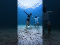 Should the world cup be underwater? ⚽️ #shorts