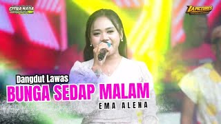 Bunga Sedap Malam  Citra Nada  Desa Baok  blok Manis   Kecciwaru  Kabkuningan