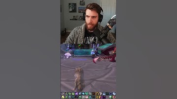 These Specs Are Broken In Solo Shuffle