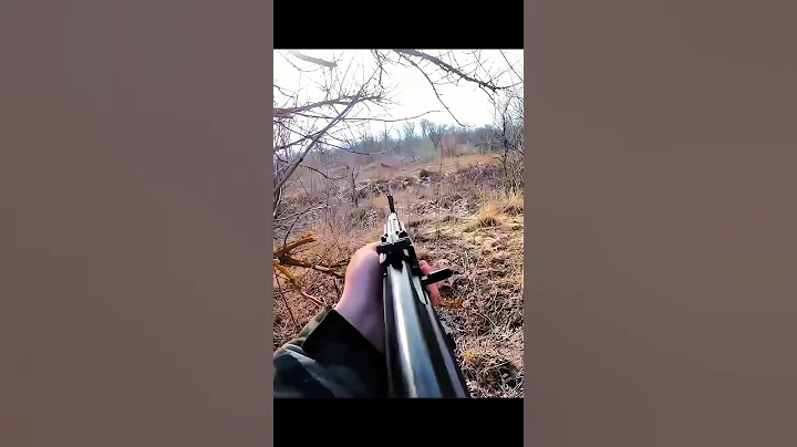 #wildboar   "OXOTa Ha Ka6aHOB C Co6akaMM #cinghiale #chasse #wildboar #OxoTa #hunting