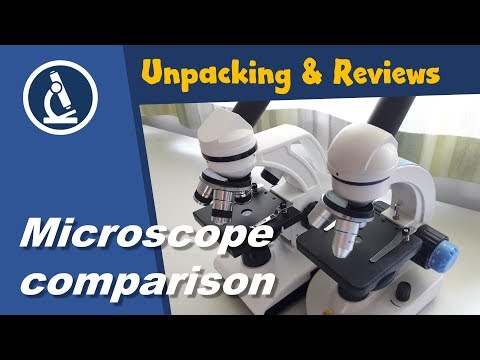 🔬 Comparing two inexpensive microscopes
