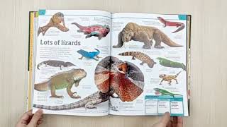 DK Animal Knowledge Genius!