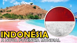 30 fatos sobre a INDONÉSIA - Países #65