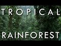 Tropical Rainforest - Secrets of World Climate, Episode 1