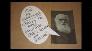 Natural Selection: It's Pretty Random