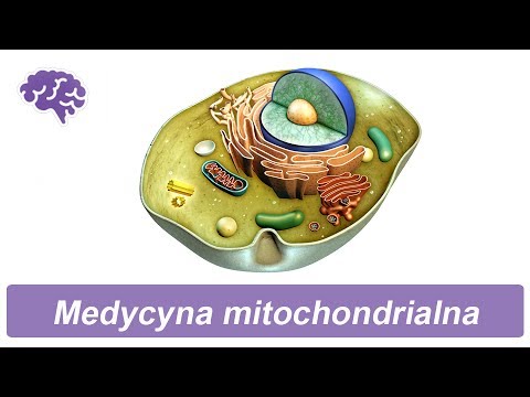 Wideo: Erv1 Arabidopsis Thaliana Może Bezpośrednio Utleniać Mitochondrialne Białka Przestrzeni Międzybłonowej Pod Nieobecność Aktywnej Redoks Mia40