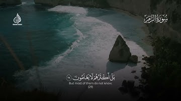 Haitham Al-Dokhin | 039. Az-Zumar | هيثم الدخين | سورة الزمر