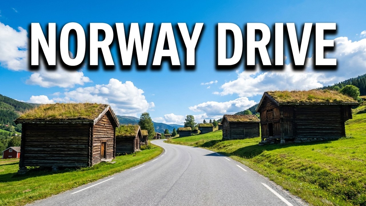 Driving in green woodland in Norway