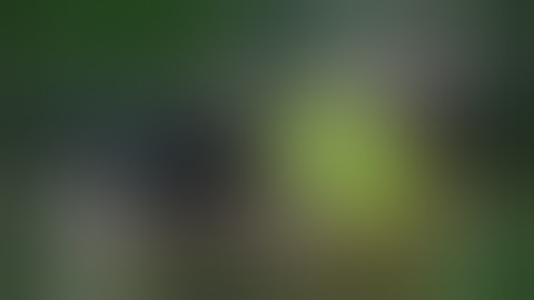 SqArias XL by Bennett Tool Customs Review!! 21700 Mech Squonk!!!