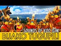 Bijako tugupili  sounds of koo igini