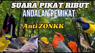Download Lagu SUARA PIKAT RIBUT AMPUH‼️ANDALAN APARA PEMIKAT DIJAMIN ANTI ZONK MP3 Download Lagu SUARA PIKAT RIBUT AMPUH‼️ANDALAN APARA PEMIKAT DIJAMIN ANTI ZONK MP3