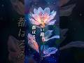 懐かしい曲『都はるみ - よさこい鴎』懐メロ ショートMV作ってみた!