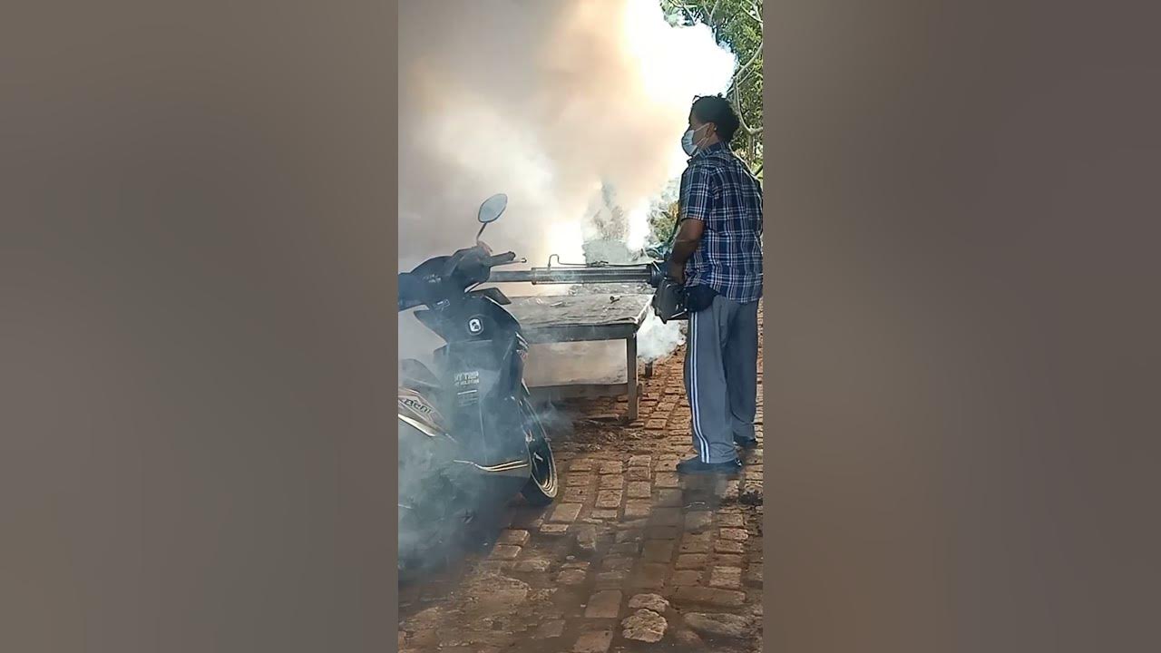 fogging sarang nyamuk