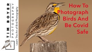 How to Photograph Birds and Be Covid Safe