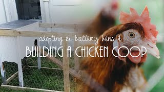 How we built a chicken coop out of an old set of drawers