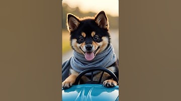 Create Viral AI videos in 3 Steps!