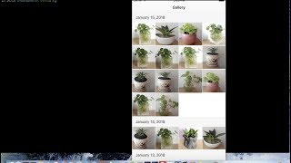 Build gallery app with Ionic 2 - Part 1