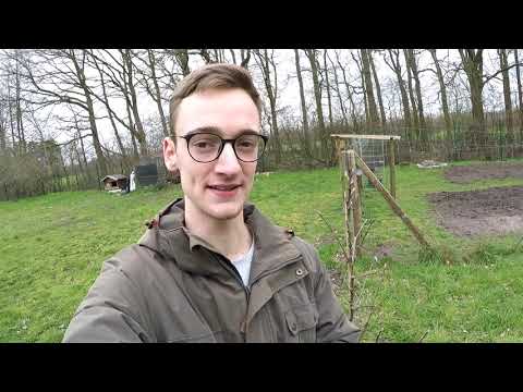 gartenrundgang-märz🌱-obstbäume🍎-blumenzwiebeln-&-erste-aussaat-#mkg5-🌳🍎